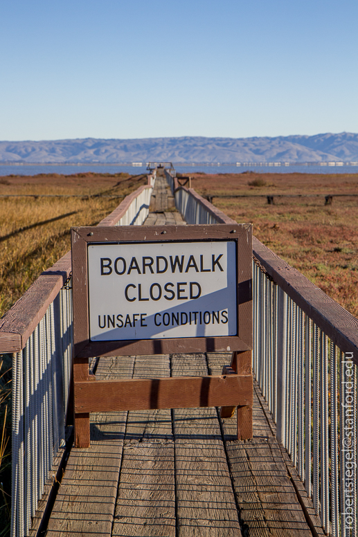 palo alto baylands